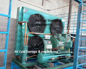 Condensing unit-AK Cold Storage & engineering (8)